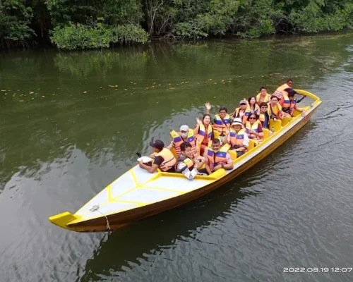 Bintan Mangrove7