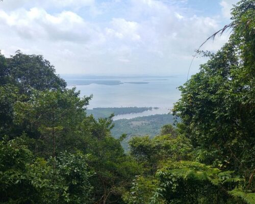 Gunung Bintan Trekking1