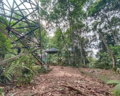 Gunung Bintan Trekking2