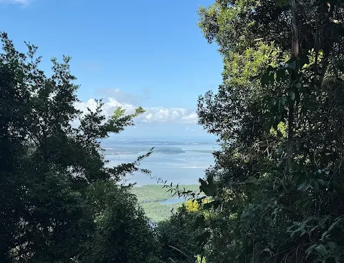 Gunung Bintan Trekking3