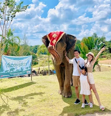 Safari Lagoi18